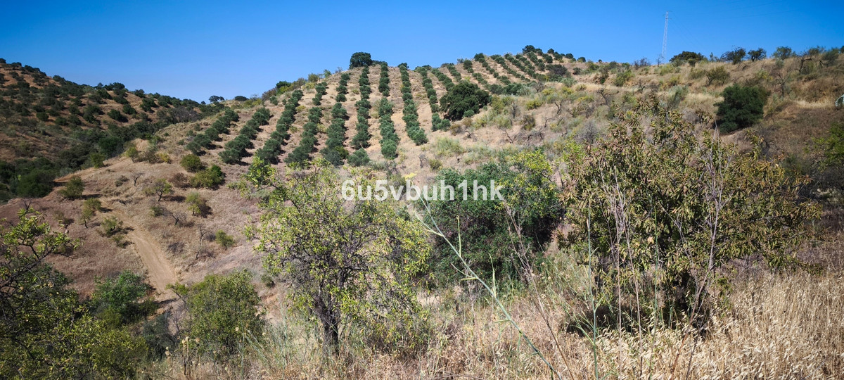 Plots for sale in Pizarra Costa Del Sol, Málaga, Spain