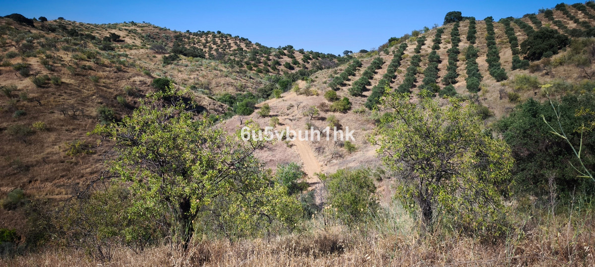 Plots for sale in Pizarra Costa Del Sol, Málaga, Spain
