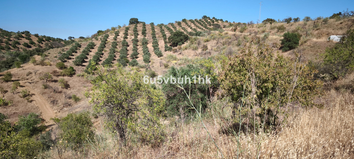 Plots for sale in Pizarra Costa Del Sol, Málaga, Spain