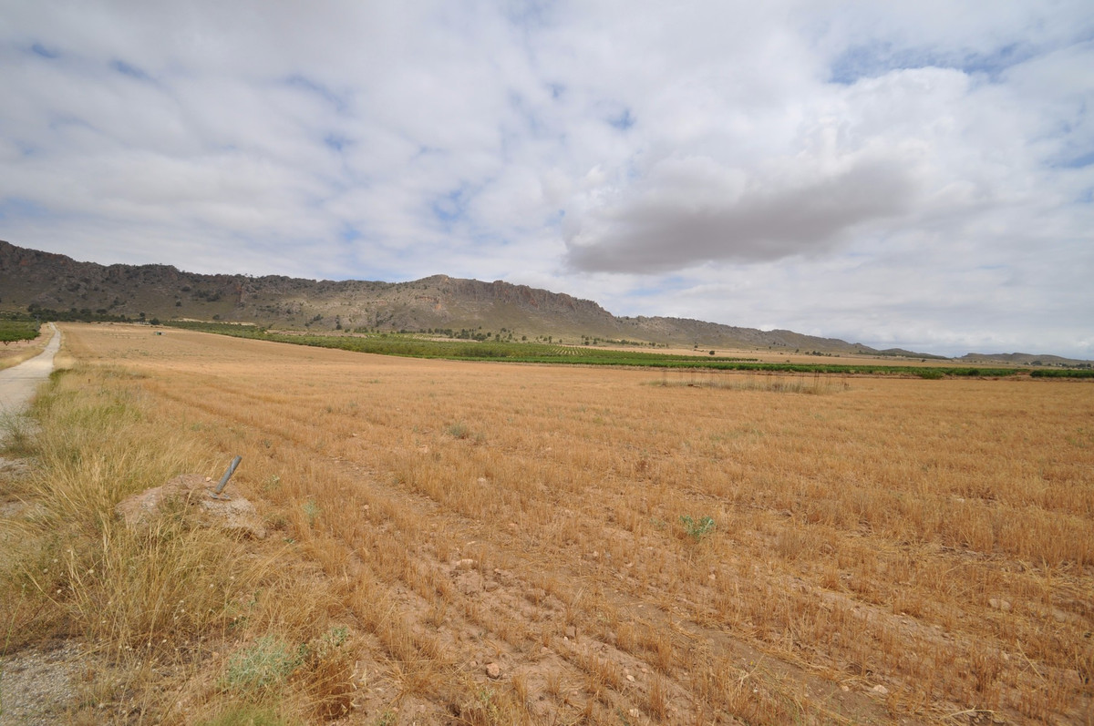 Se vende Terreno Rustico  en Costa Calida, Murcia, España