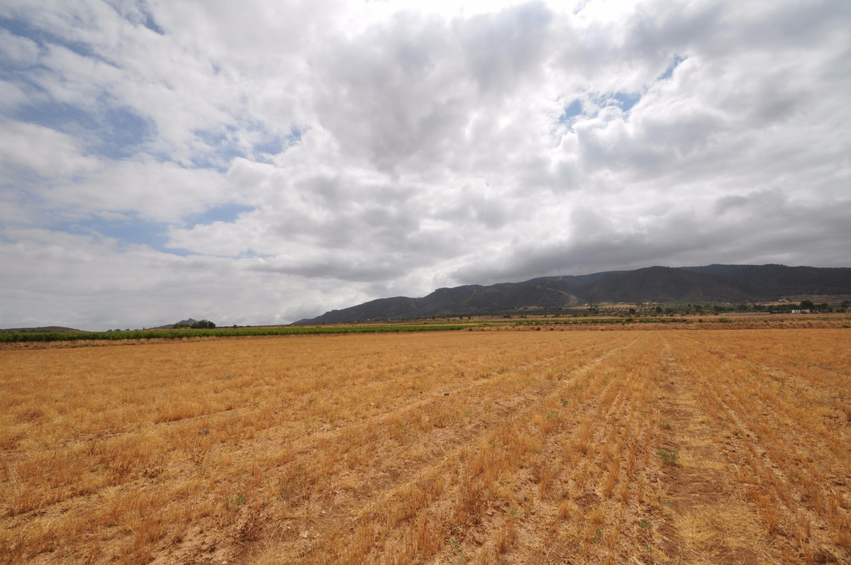Se vende Terreno Rustico  en Costa Calida, Murcia, España