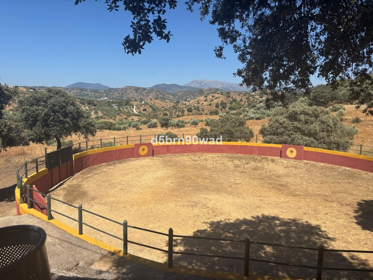 Commercial unit for sale in Monda Costa Del Sol, Málaga, Spain