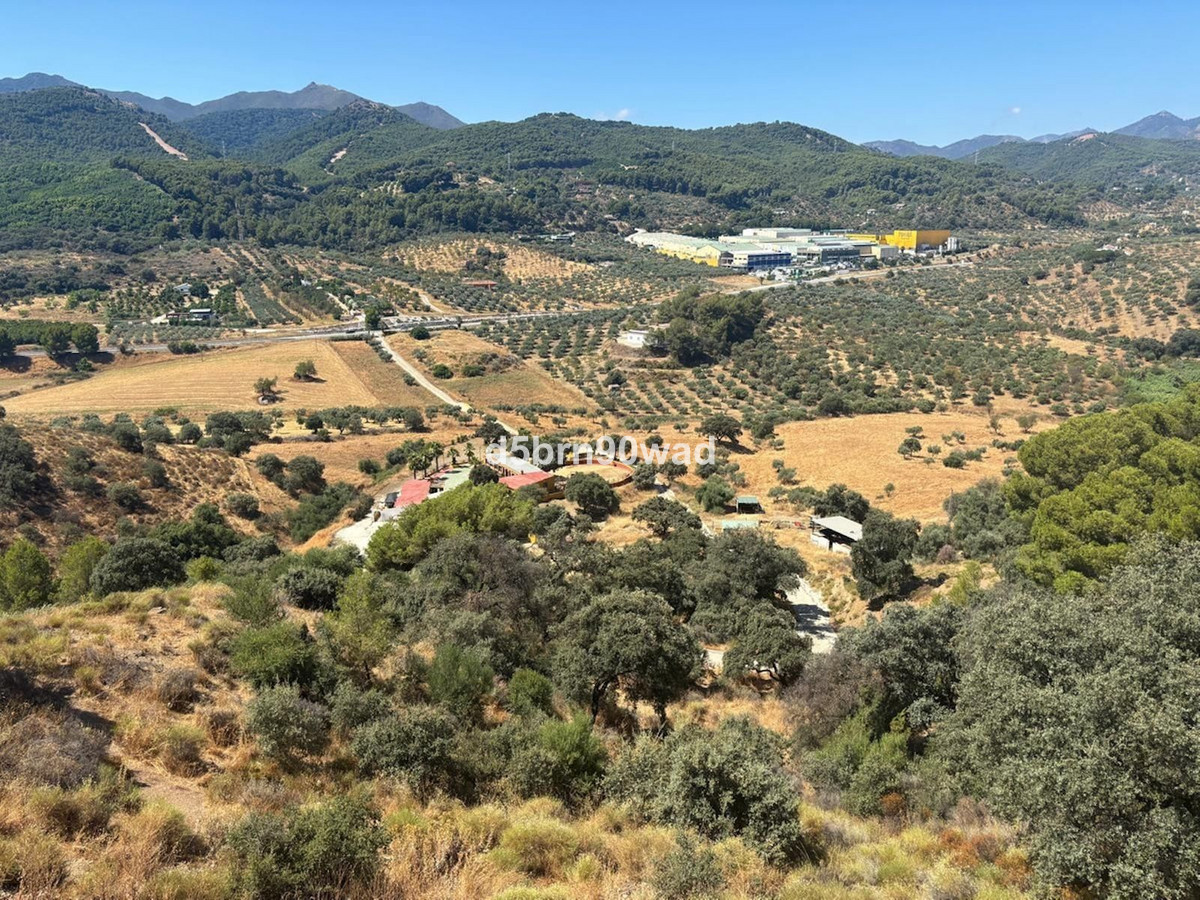Commercial unit for sale in Monda Costa Del Sol, Málaga, Spain