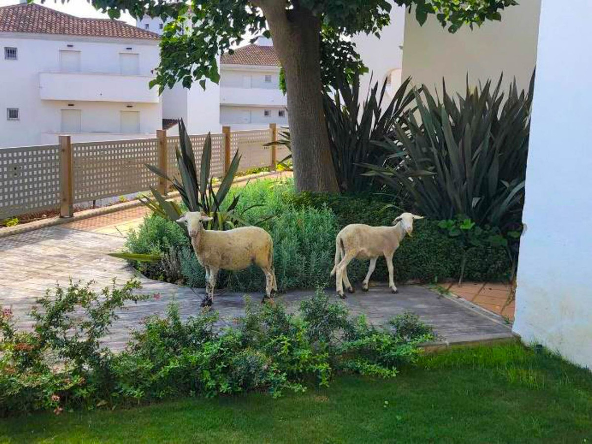 3 Bed Apartment for sale in La Duquesa Costa Del Sol, Málaga, Spain