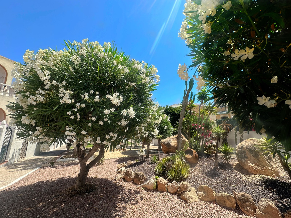 1 Bed Townhouse for sale in La Mata Costa Blanca, Alicante, Spain