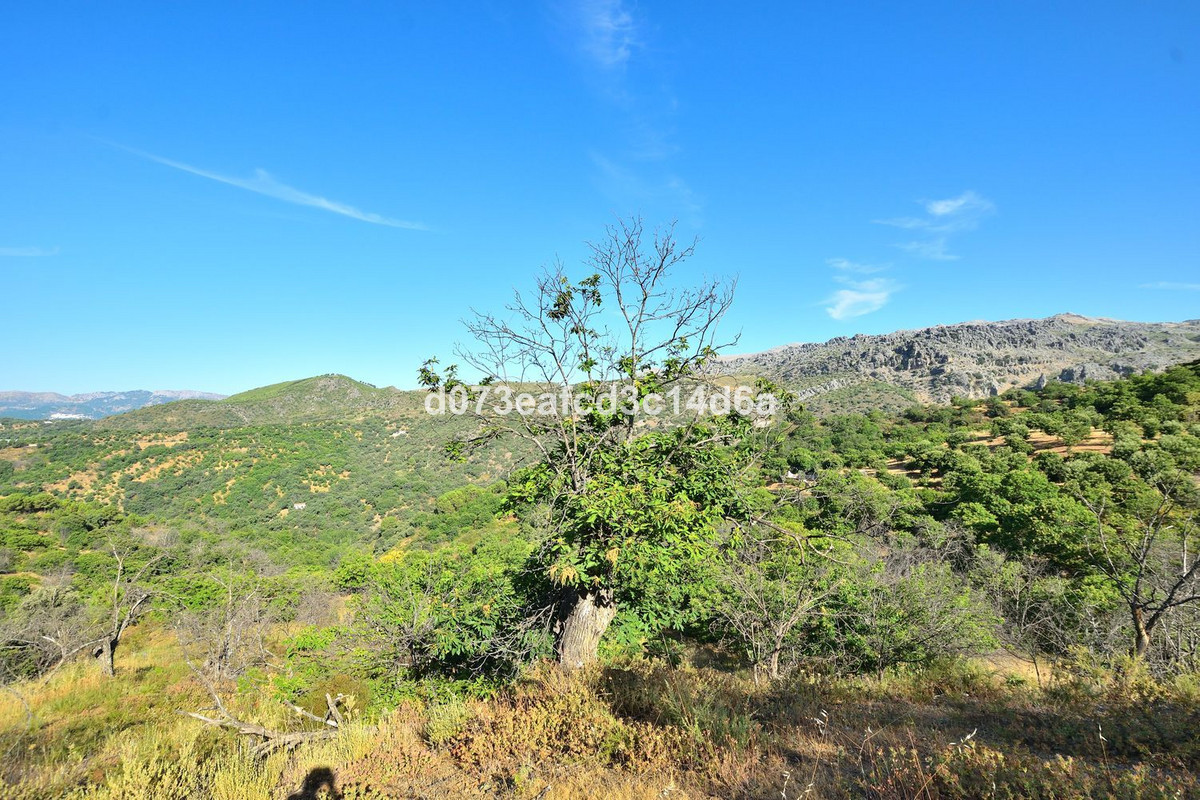 Plots for sale in Cartajima Costa Del Sol, Málaga, Spain