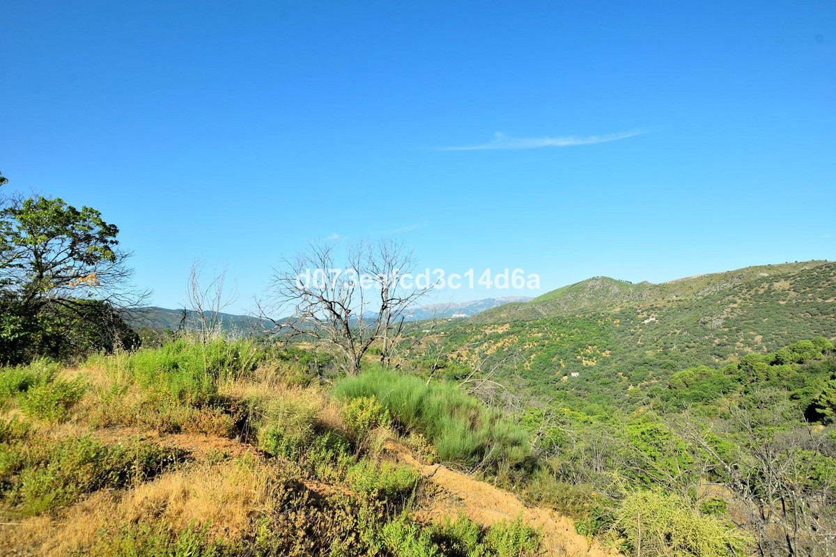 Plots for sale in Cartajima Costa Del Sol, Málaga, Spain