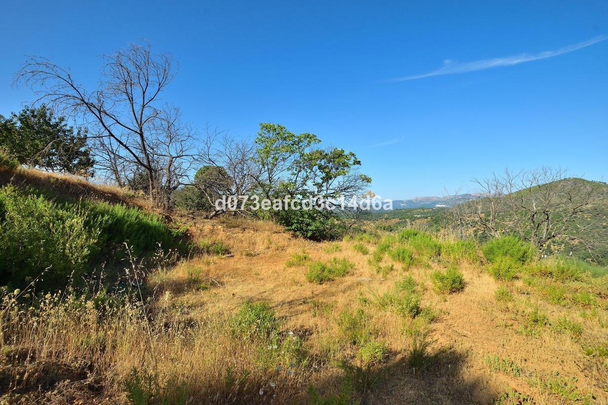 Plots for sale in Cartajima Costa Del Sol, Málaga, Spain