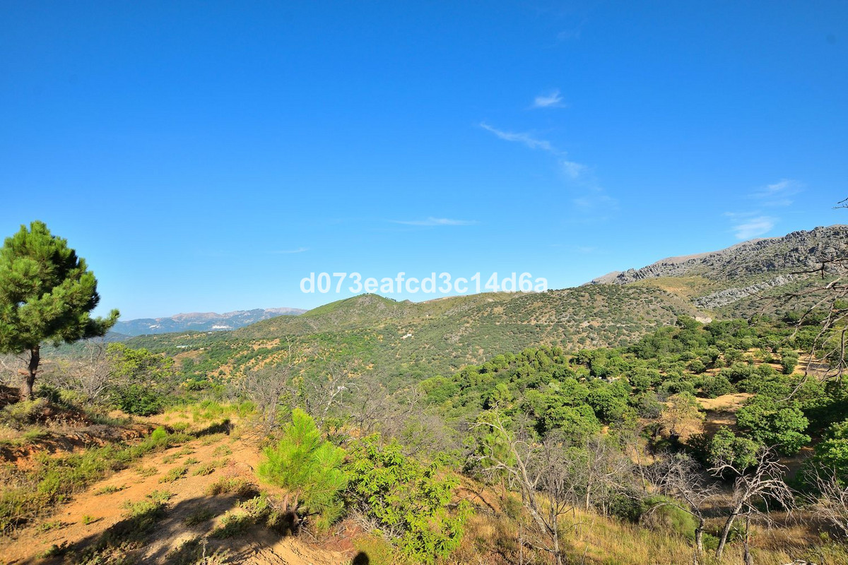 Plots for sale in Cartajima Costa Del Sol, Málaga, Spain