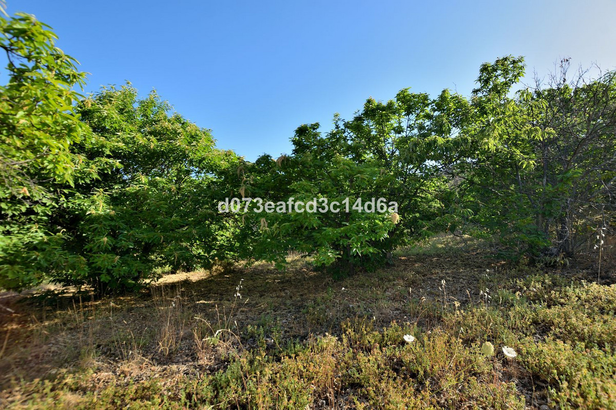 Plots for sale in Cartajima Costa Del Sol, Málaga, Spain