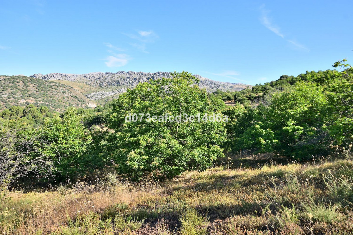 Plots for sale in Cartajima Costa Del Sol, Málaga, Spain