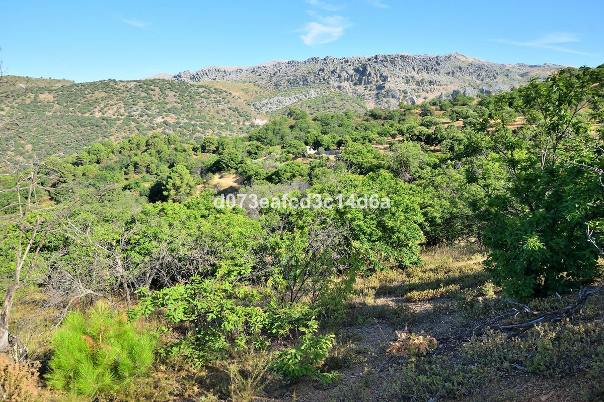 Plots for sale in Cartajima Costa Del Sol, Málaga, Spain