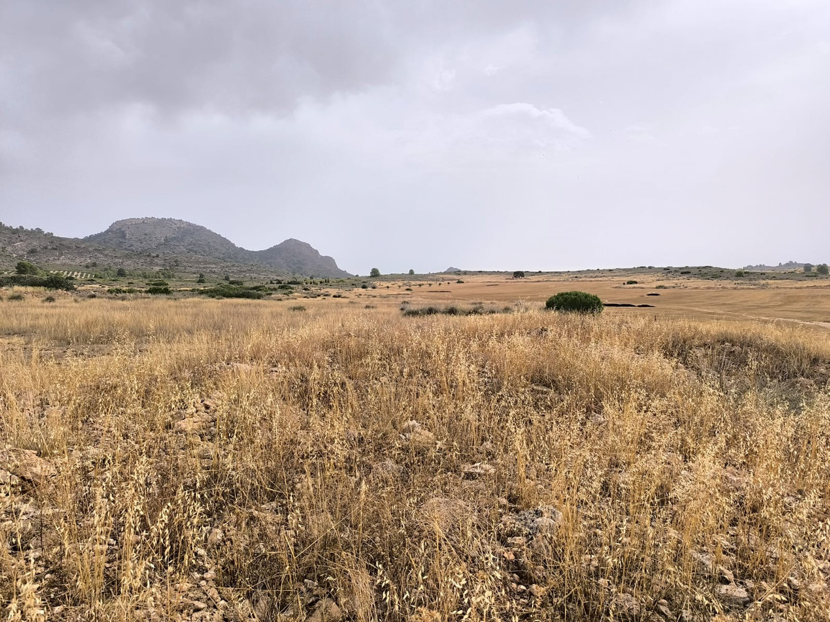 Plots for sale in Yecla Costa Calida, Murcia, Spain