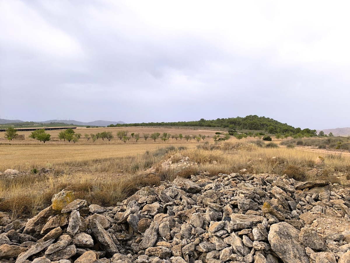 Plots for sale in Yecla Costa Calida, Murcia, Spain