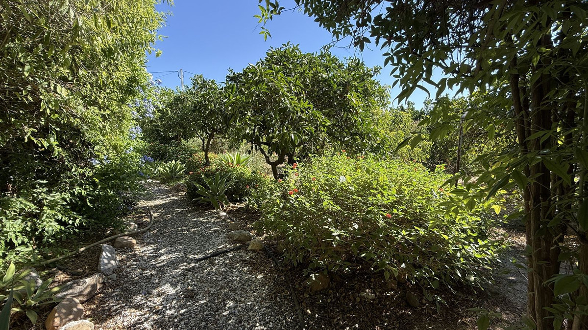 Se vende Finca - Cortijo de 4 dormitorios en Costa Del Sol, Málaga, España