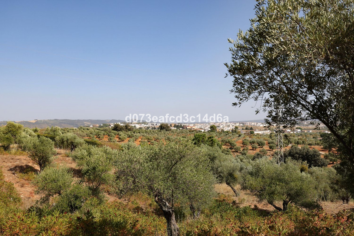 Se vende Villa - Chalet de 6 dormitorios en Costa Del Sol, Málaga, España