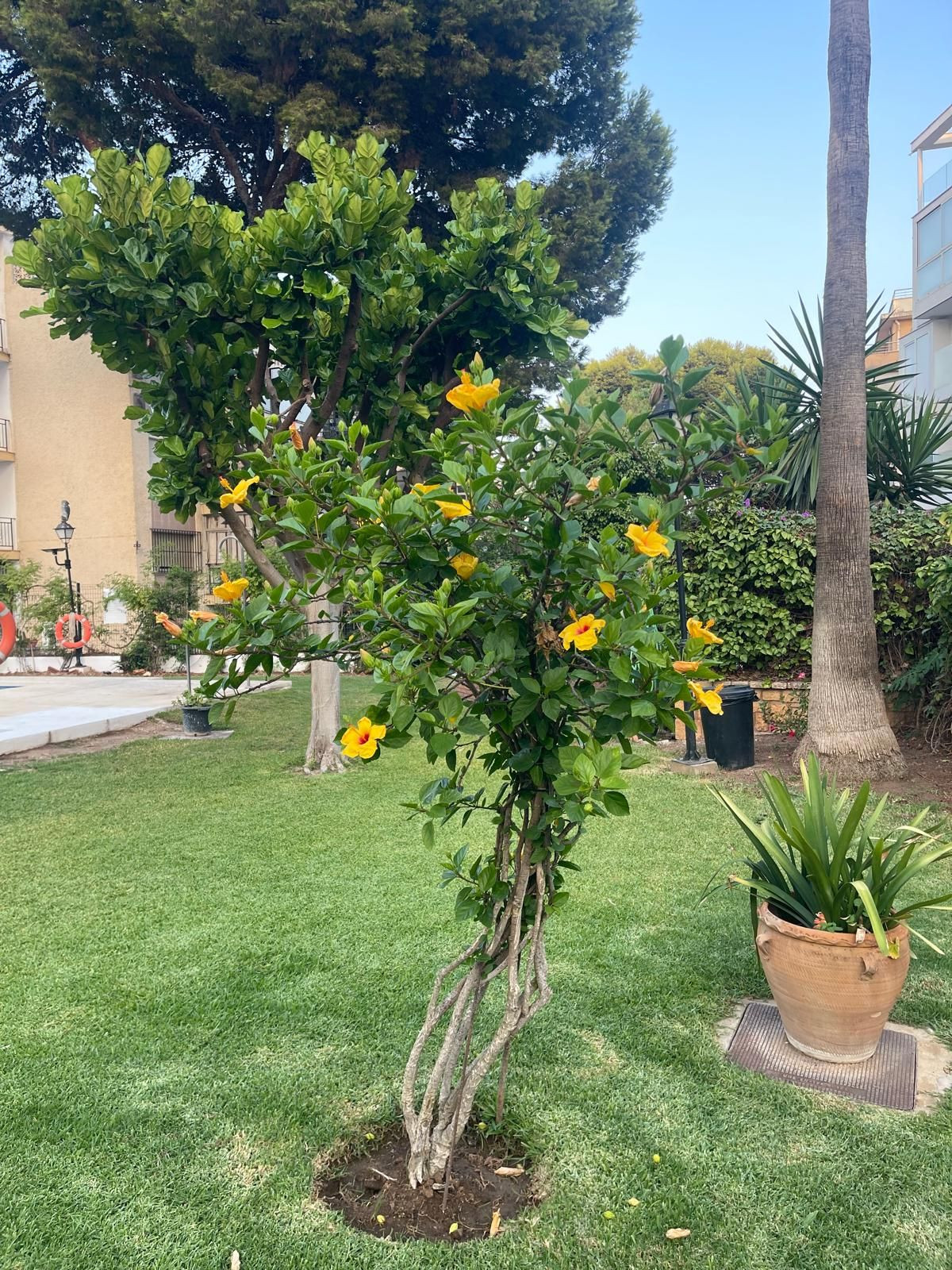 1 Bed Apartment for sale in Benalmadena Costa Costa Del Sol, Málaga, Spain