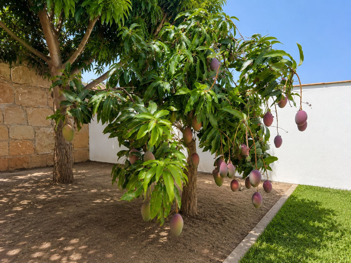 3 Bed Townhouse for sale in Estepona Costa Del Sol, Málaga, Spain