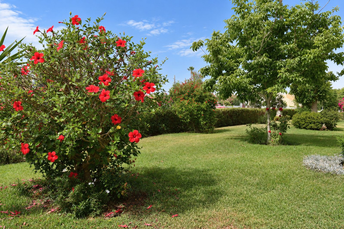 Se vende Apartamento Planta Media de 2 dormitorios en Costa Del Sol, Málaga, España