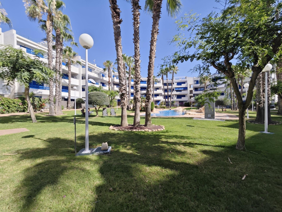 1 Bed Apartment for sale in Playa Flamenca Costa Blanca, Alicante, Spain