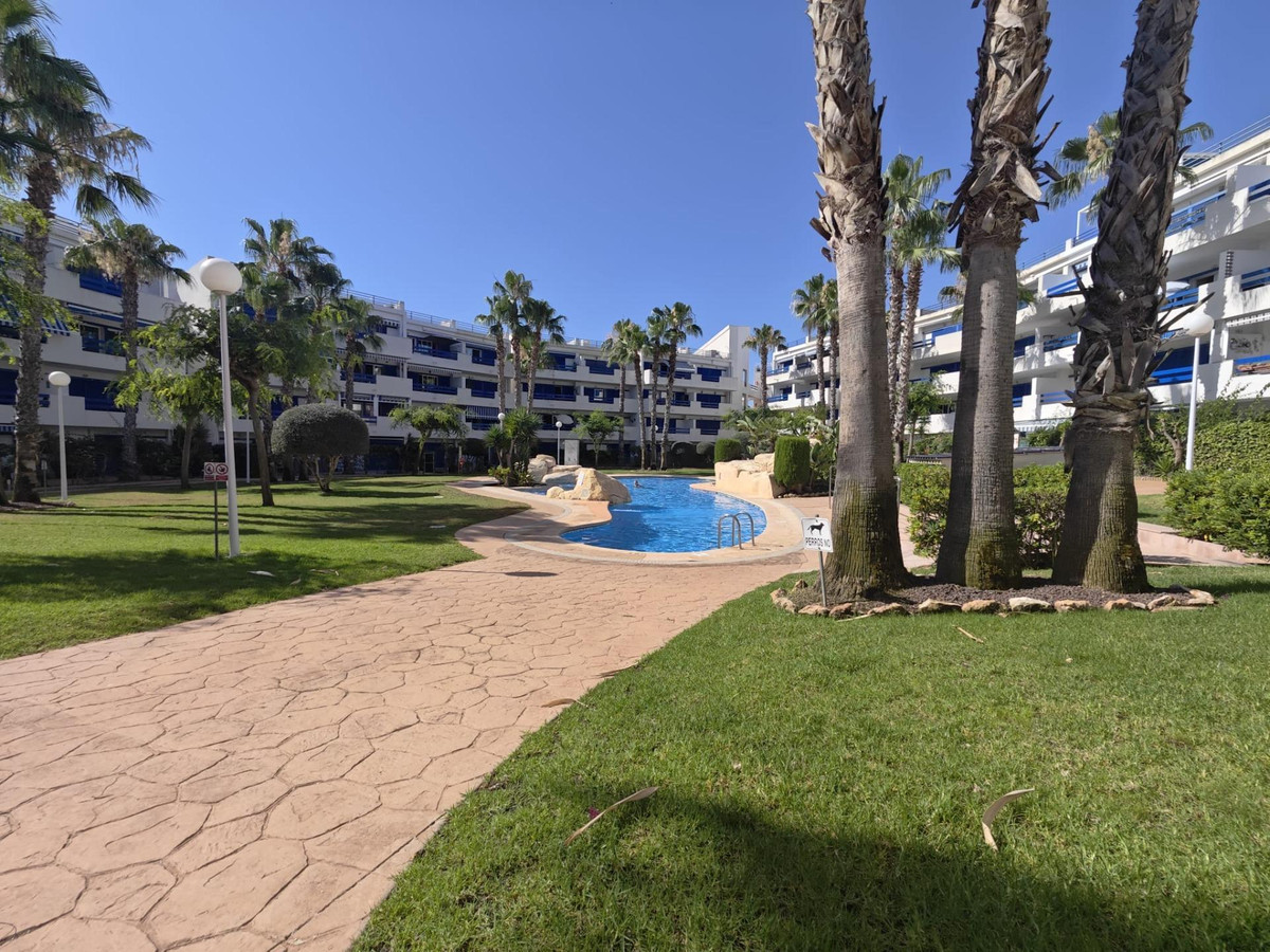 1 Bed Apartment for sale in Playa Flamenca Costa Blanca, Alicante, Spain