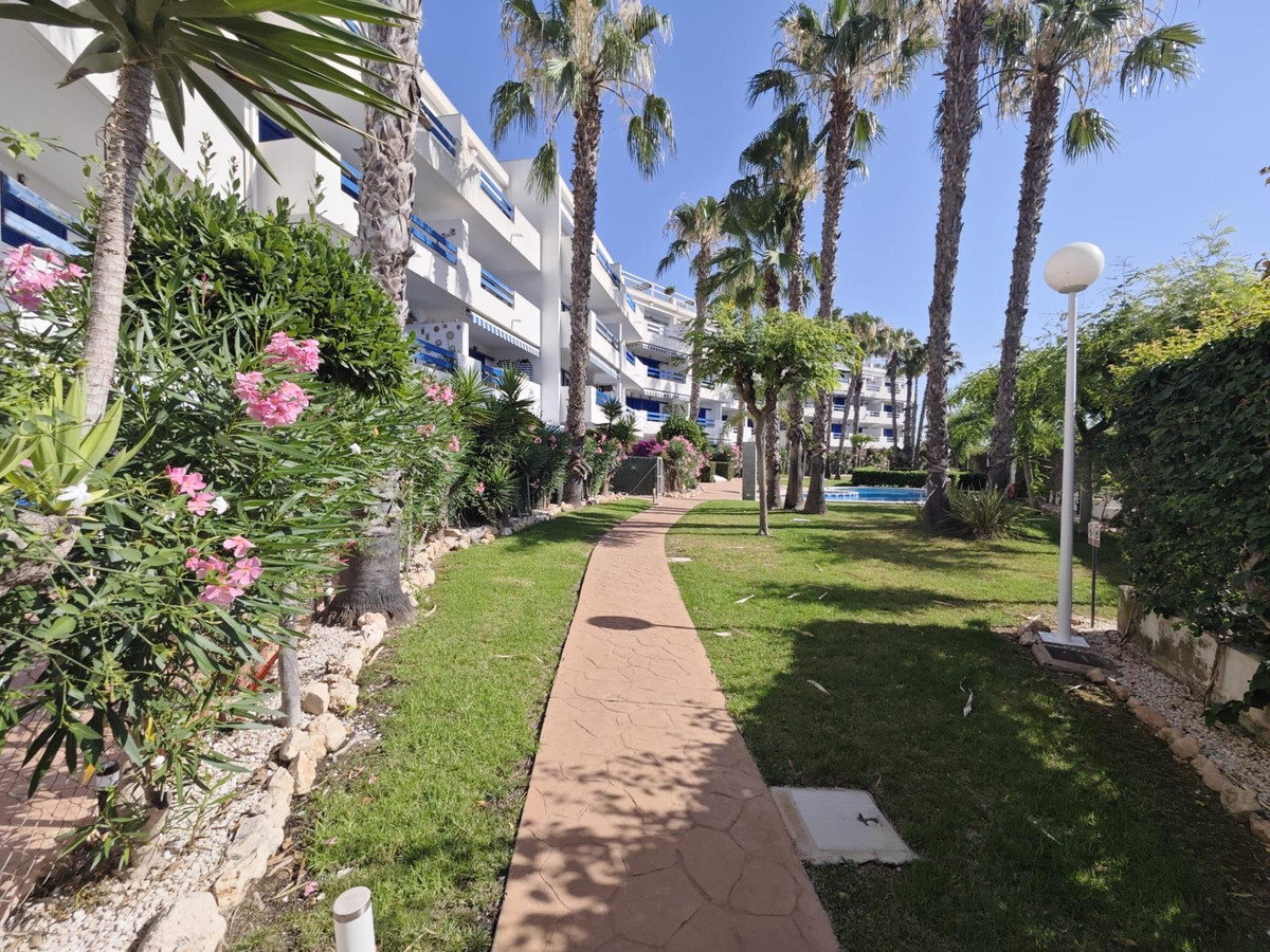 1 Bed Apartment for sale in Playa Flamenca Costa Blanca, Alicante, Spain