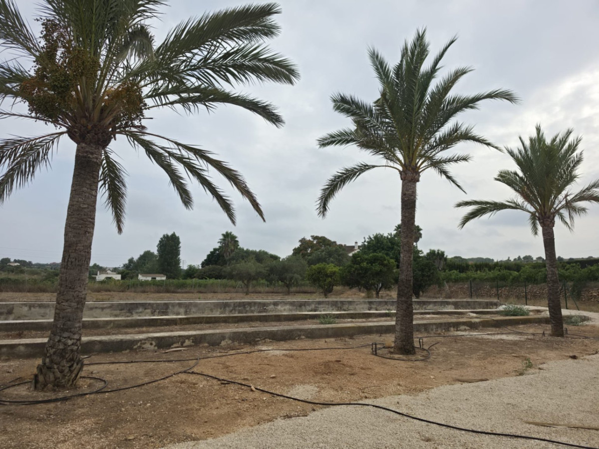 Se vende Finca - Cortijo de 2 dormitorios en Costa Blanca, Alicante, España