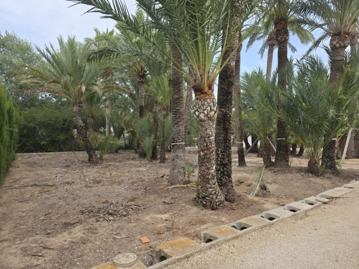 Se vende Finca - Cortijo de 2 dormitorios en Costa Blanca, Alicante, España
