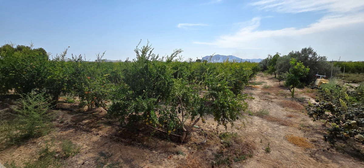 Se vende Terreno Rustico  en Costa Blanca, Alicante, España