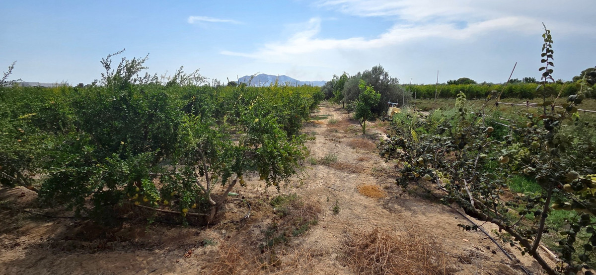 Se vende Terreno Rustico  en Costa Blanca, Alicante, España
