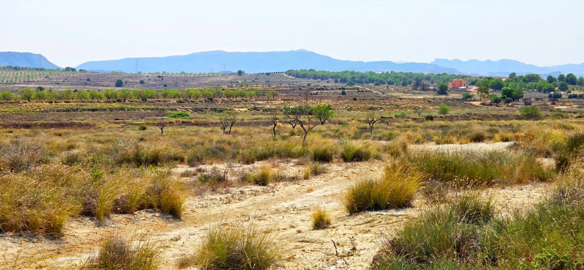 Plots for sale in San Miguel De Salinas Costa Blanca, Alicante, Spain