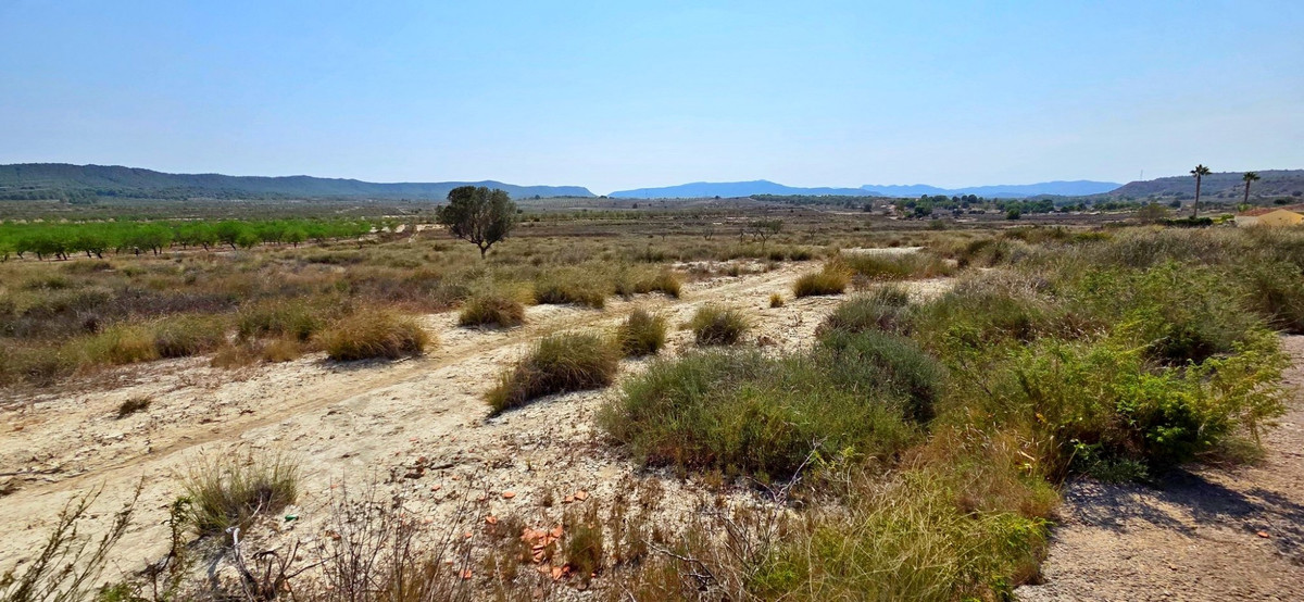 Plots for sale in San Miguel De Salinas Costa Blanca, Alicante, Spain