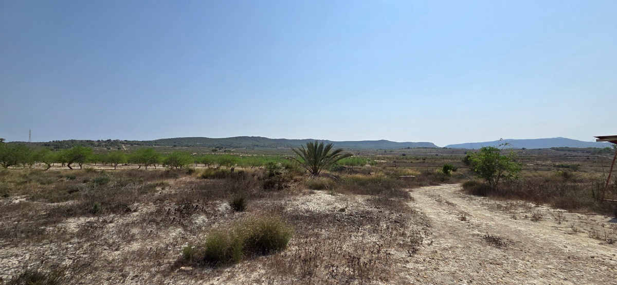 Plots for sale in San Miguel De Salinas Costa Blanca, Alicante, Spain