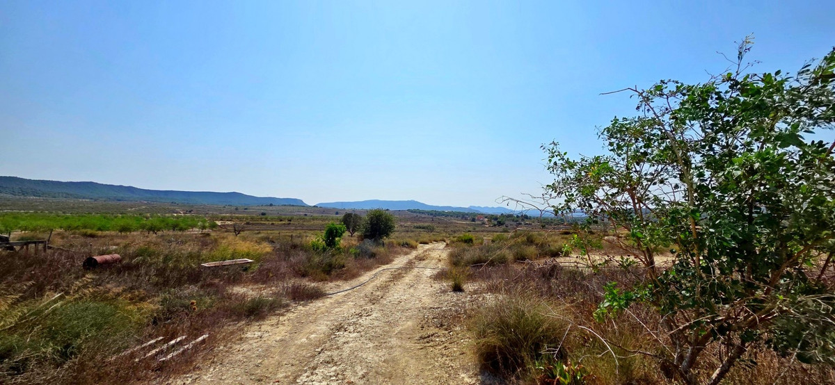 Plots for sale in San Miguel De Salinas Costa Blanca, Alicante, Spain