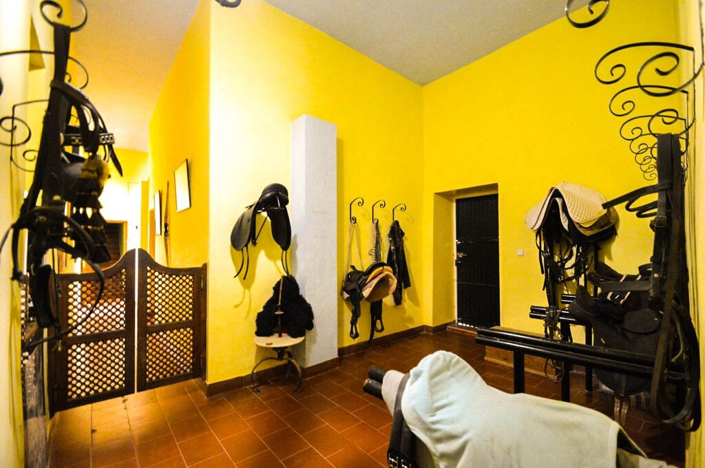 9 Bed Townhouse for sale in Antequera Costa Del Sol, Málaga, Spain