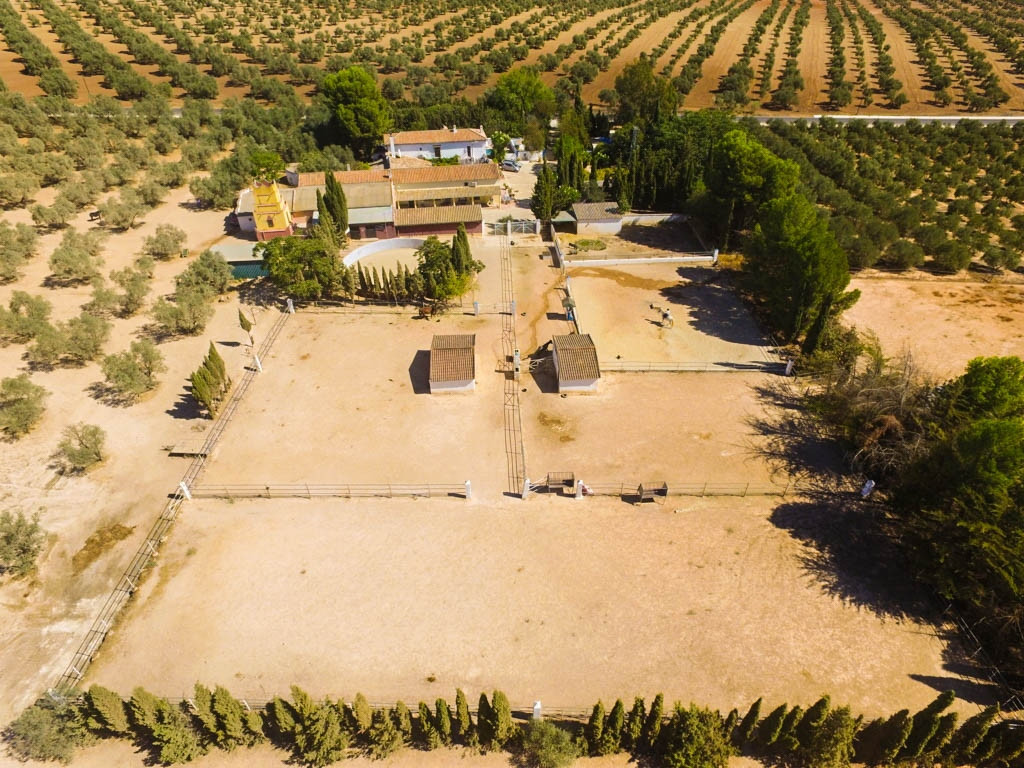 9 Bed Townhouse for sale in Antequera Costa Del Sol, Málaga, Spain