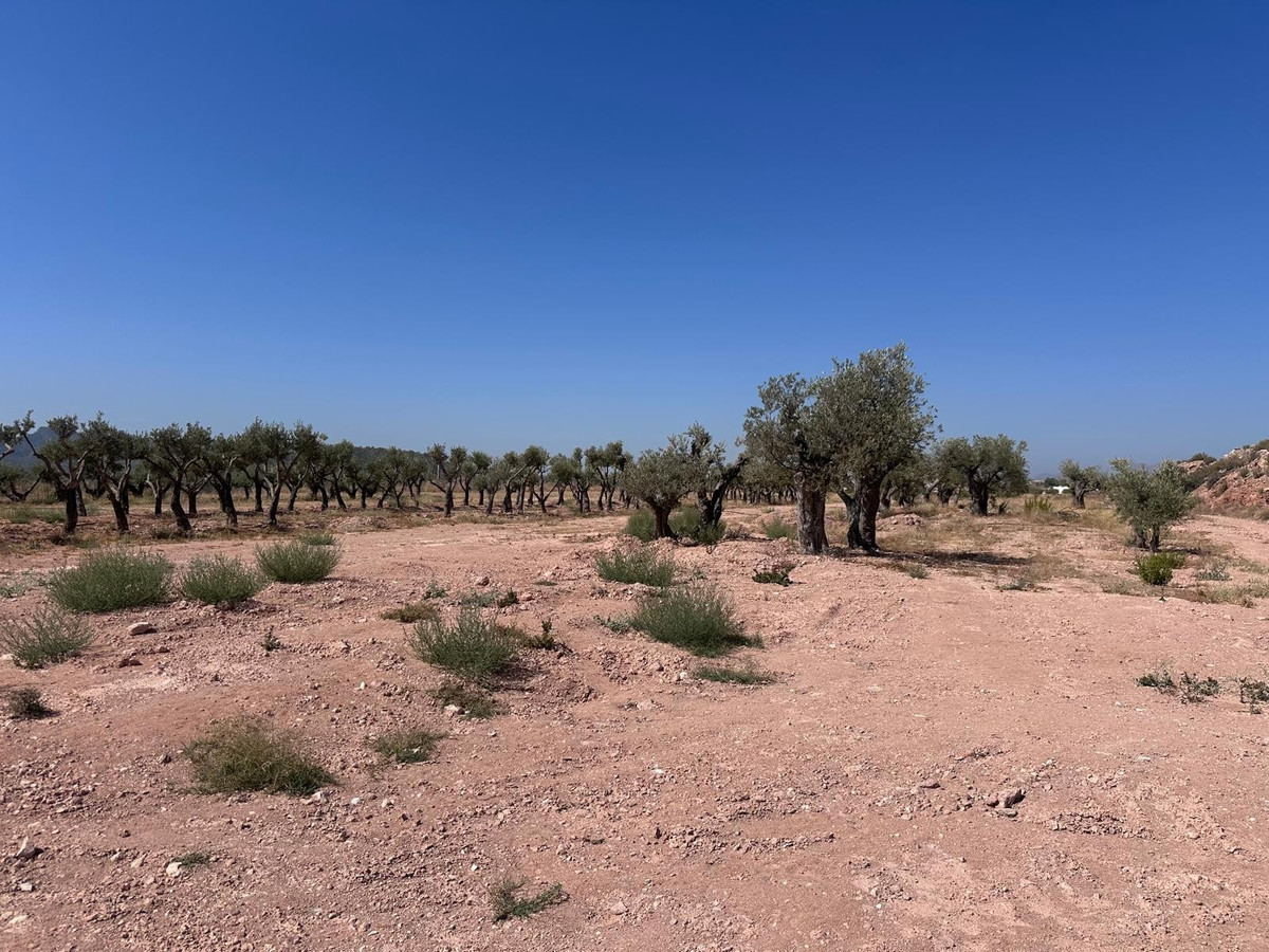 Plots for sale in Macisvenda Costa Calida, Murcia, Spain