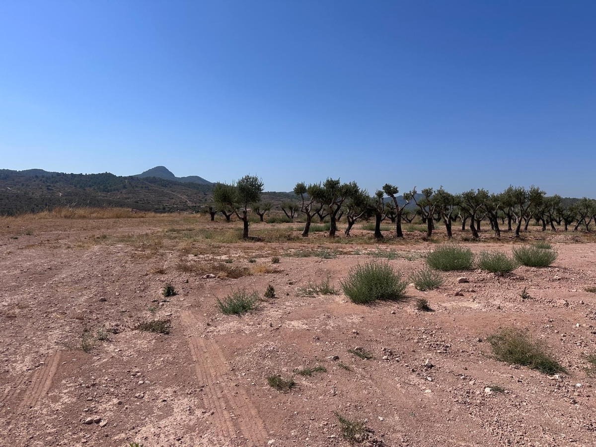 Plots for sale in Macisvenda Costa Calida, Murcia, Spain