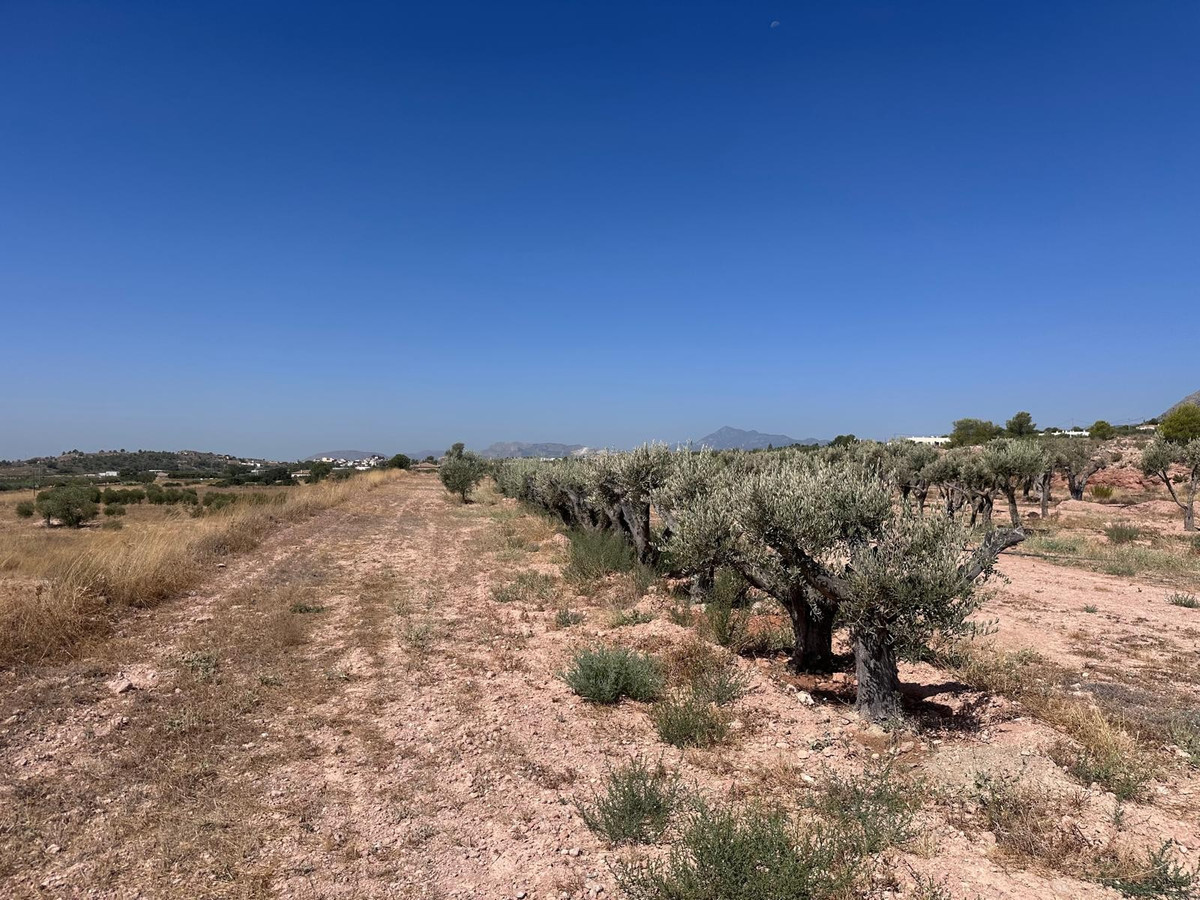 Plots for sale in Macisvenda Costa Calida, Murcia, Spain