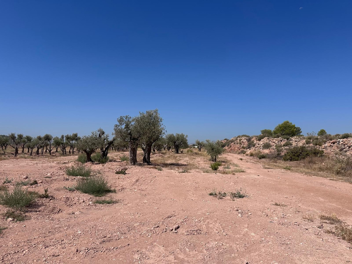 Plots for sale in Macisvenda Costa Calida, Murcia, Spain