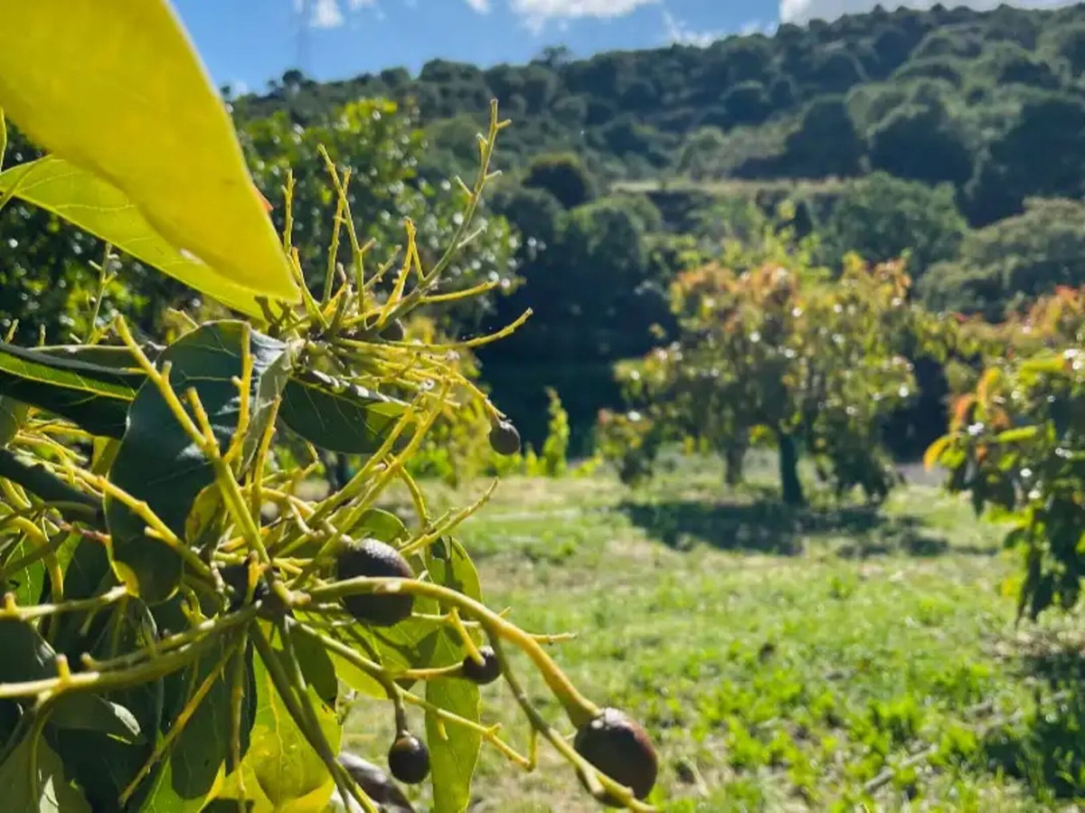 Se vende Finca - Cortijo de 3 dormitorios en Costa Del Sol, Málaga, España