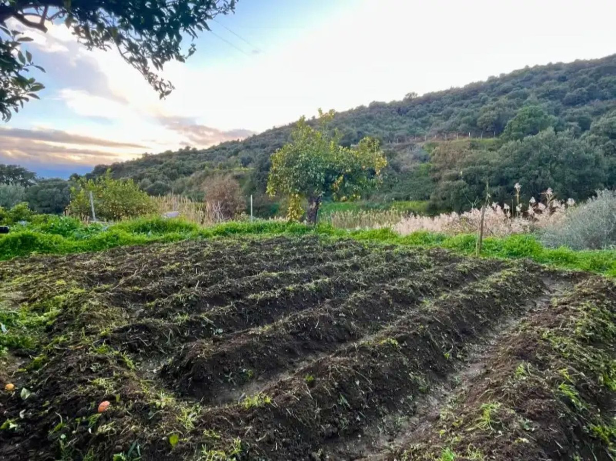 Se vende Finca - Cortijo de 3 dormitorios en Costa Del Sol, Málaga, España
