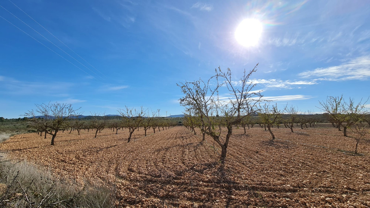 Plots for sale in Lel Costa Blanca, Alicante, Spain