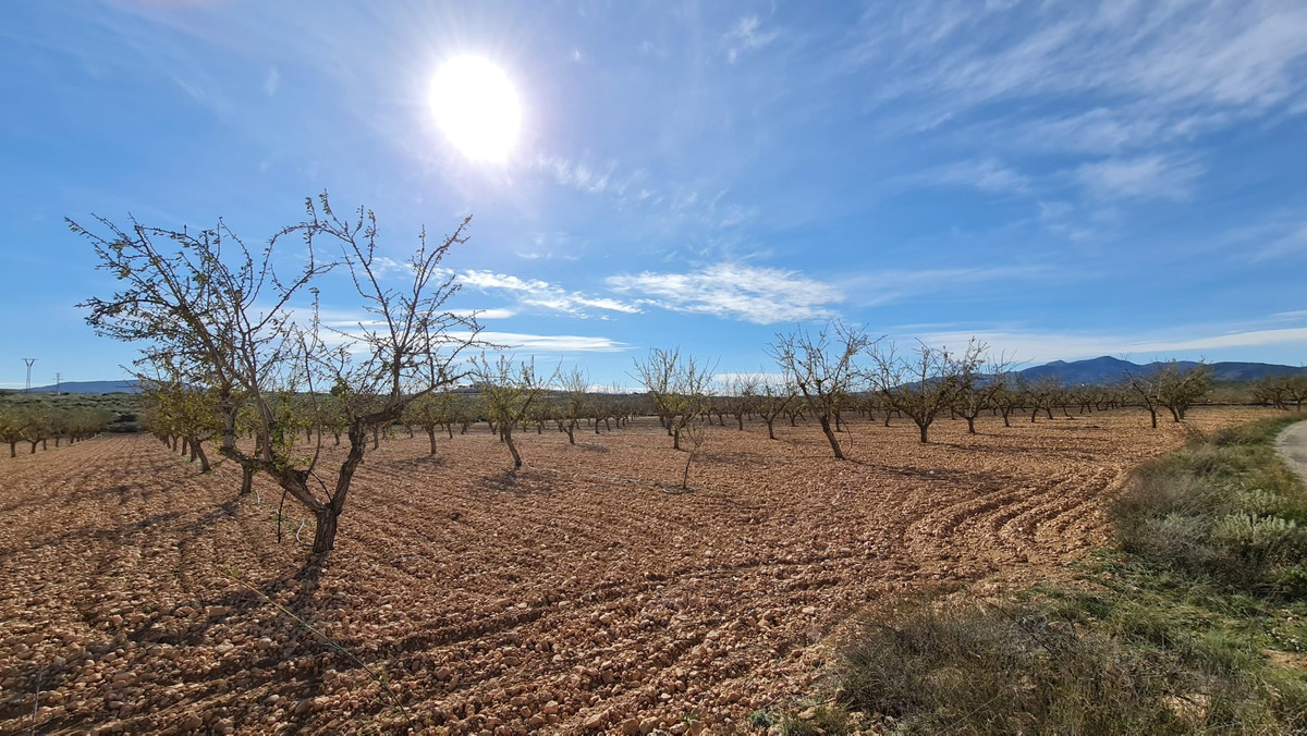 Plots for sale in Lel Costa Blanca, Alicante, Spain