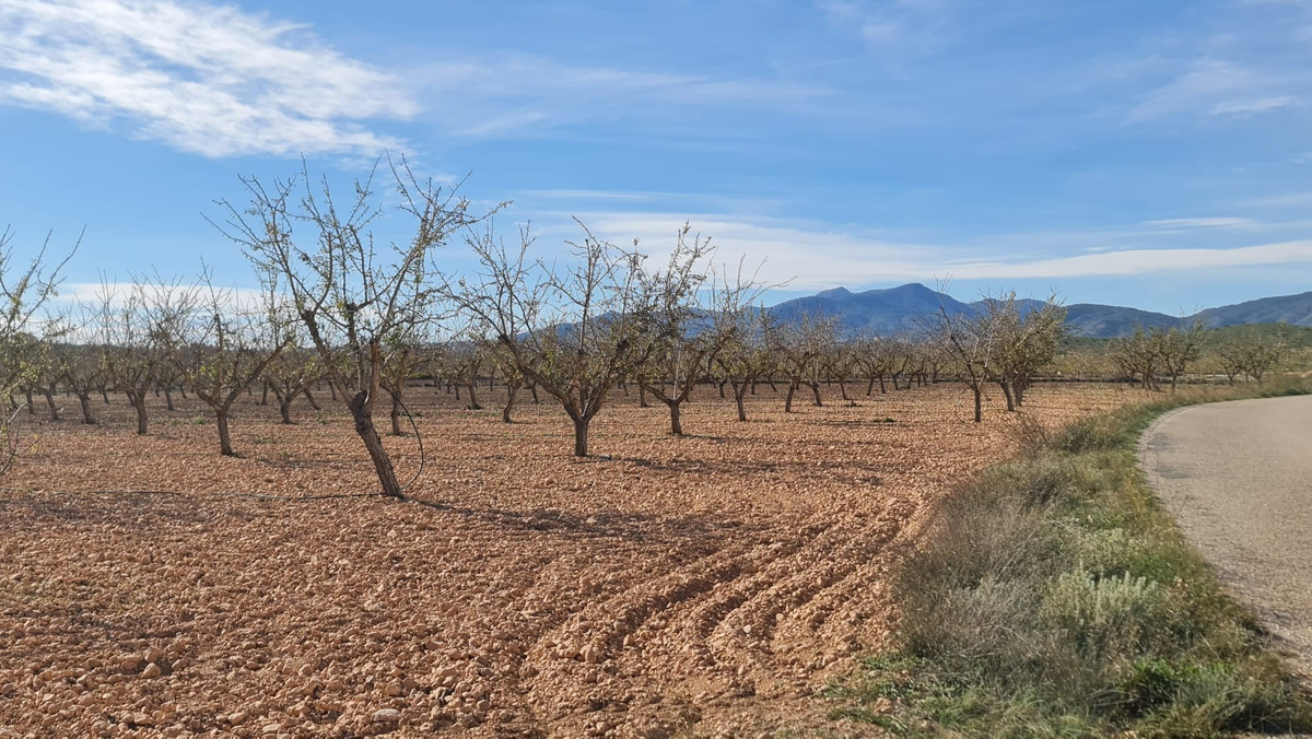 Plots for sale in Lel Costa Blanca, Alicante, Spain