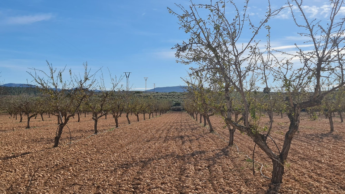 Plots for sale in Lel Costa Blanca, Alicante, Spain