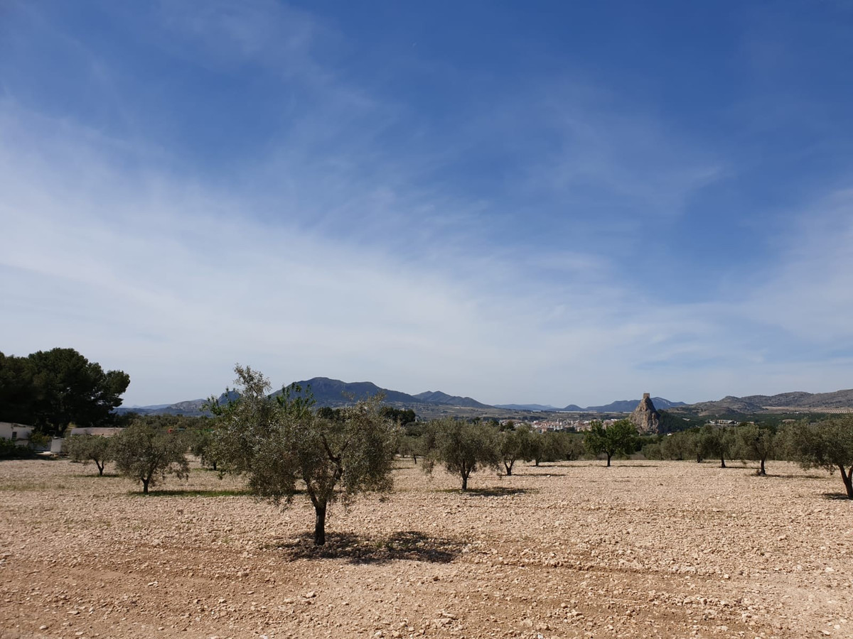 Plots for sale in Sax Costa Blanca, Alicante, Spain