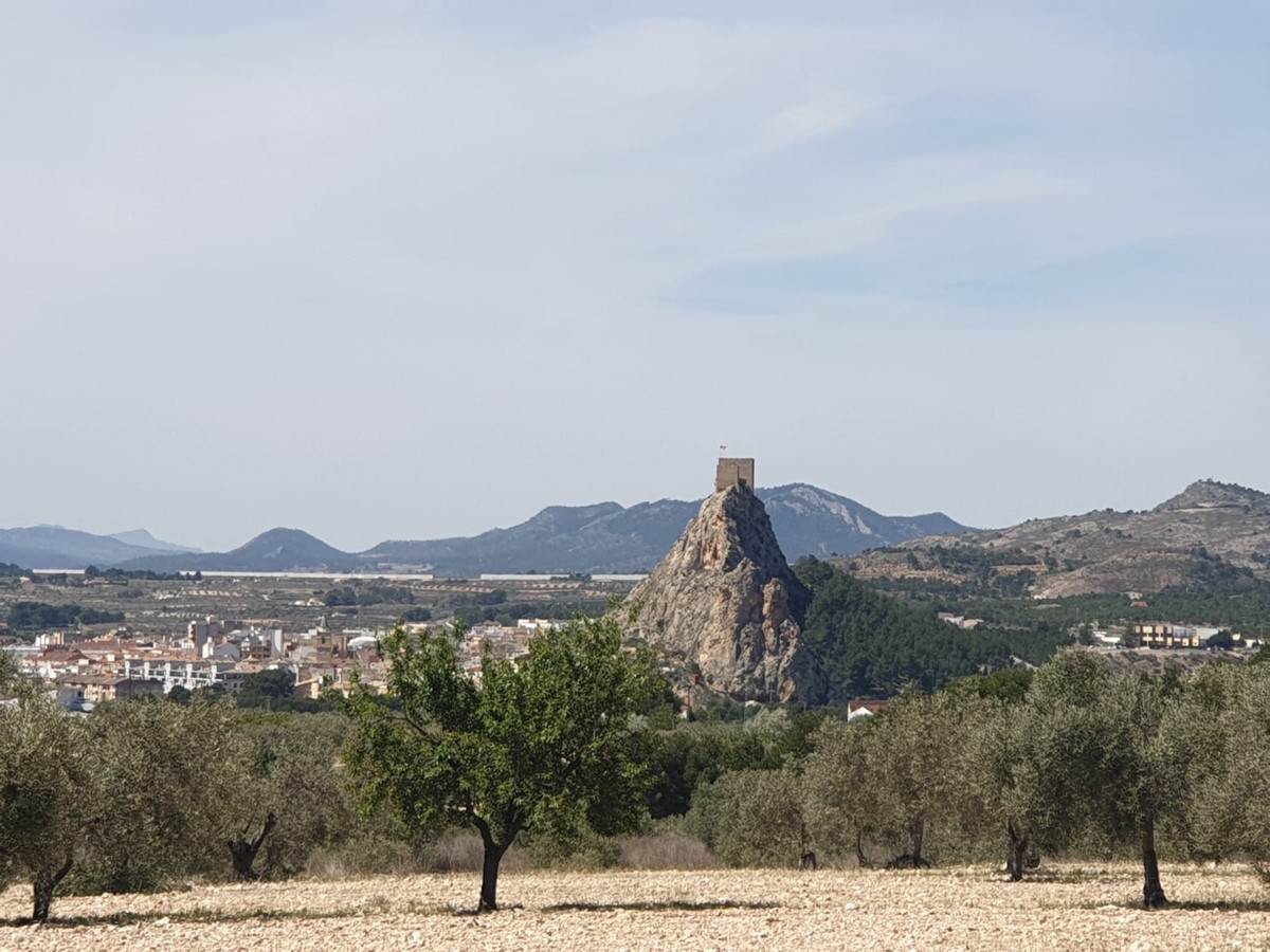 Plots for sale in Sax Costa Blanca, Alicante, Spain