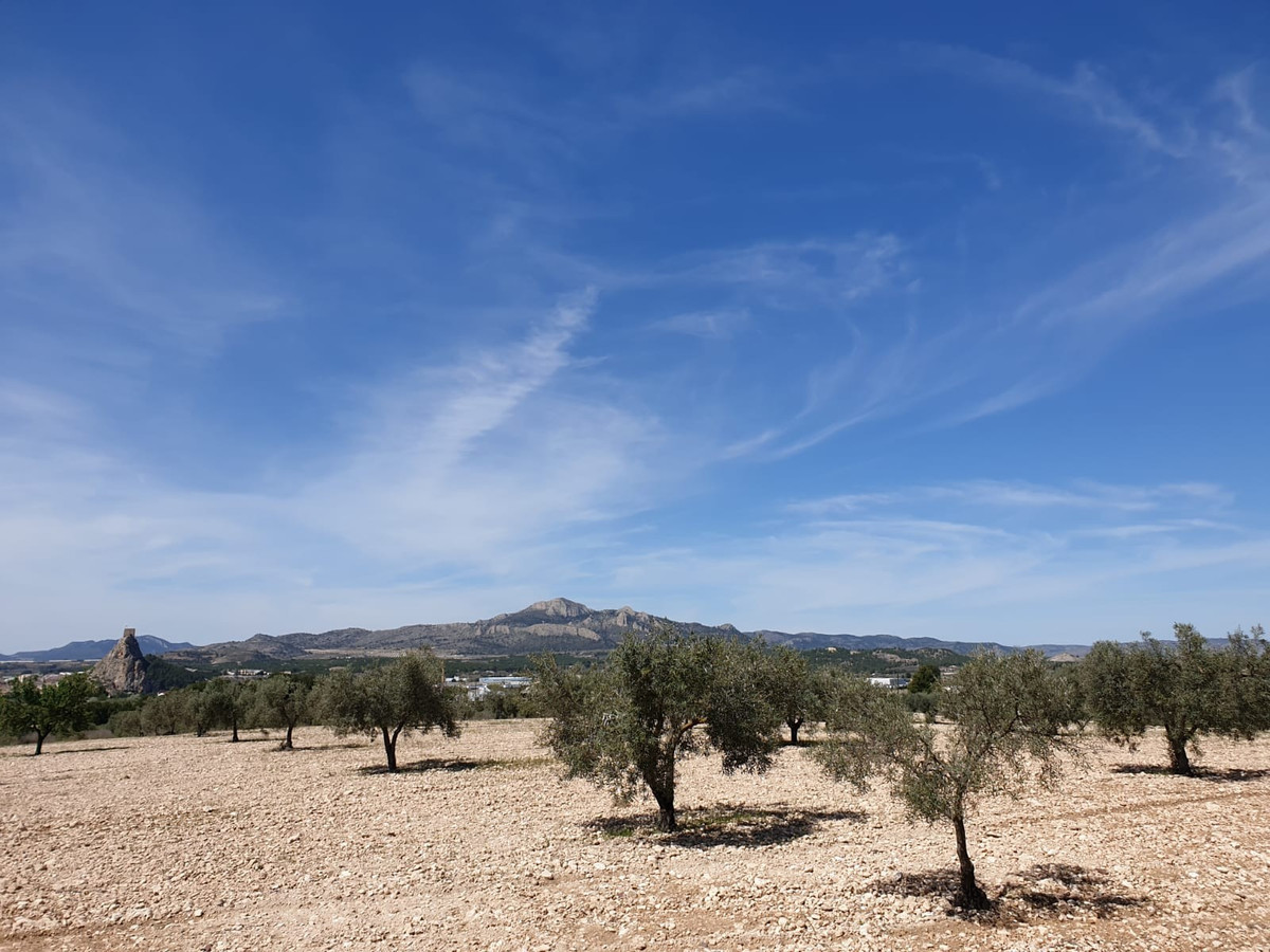 Plots for sale in Sax Costa Blanca, Alicante, Spain