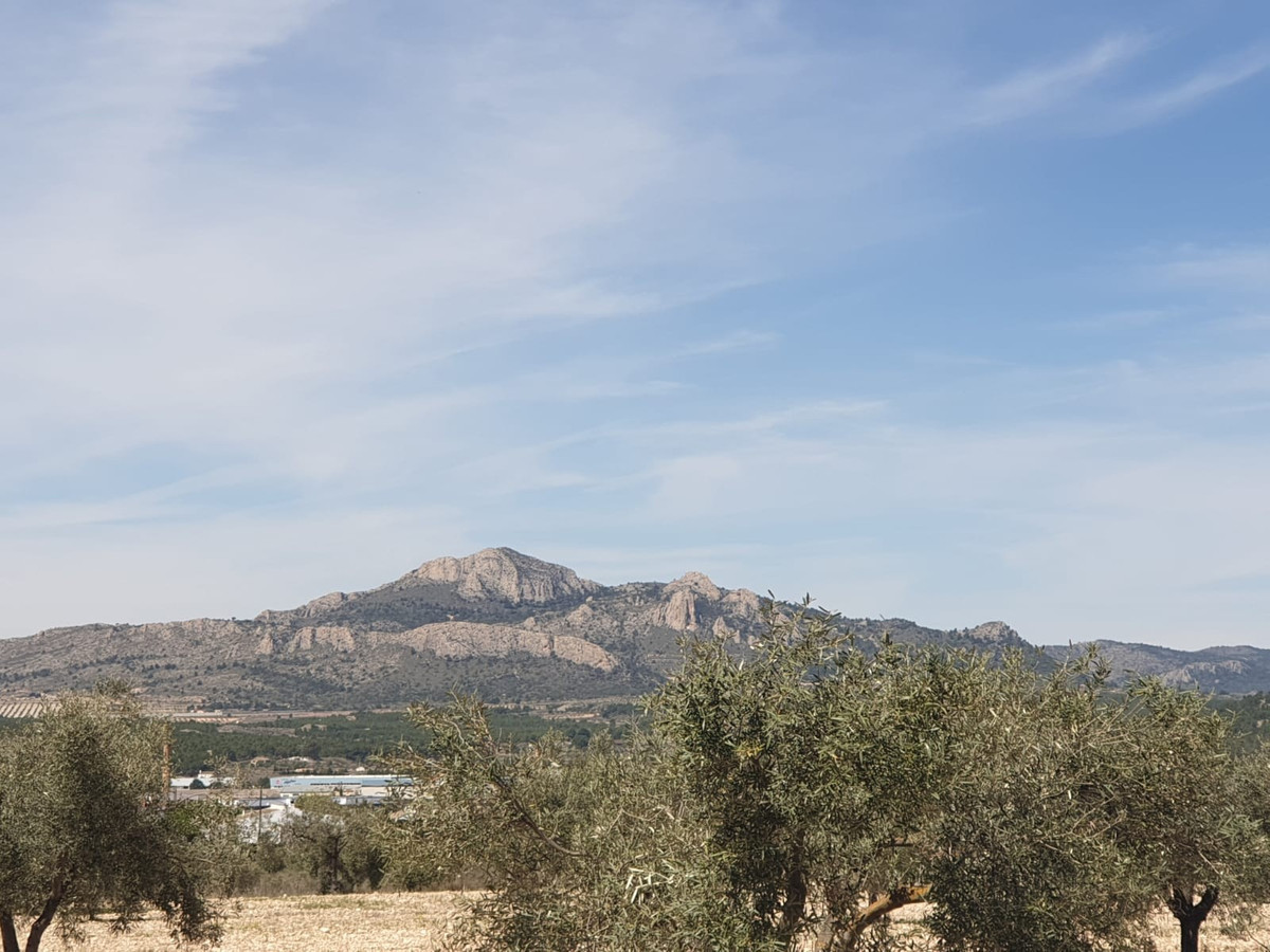 Plots for sale in Sax Costa Blanca, Alicante, Spain